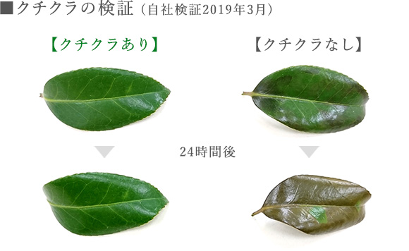 事業内容 事例紹介 五島の椿株式会社 事業内容 事例紹介 五島の椿株式会社